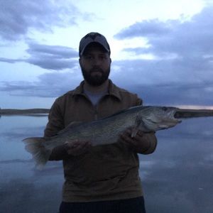 Meet your Posher, Ross